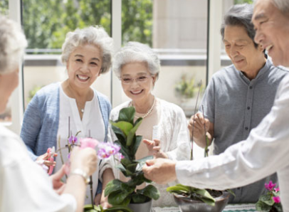 社区养老模式