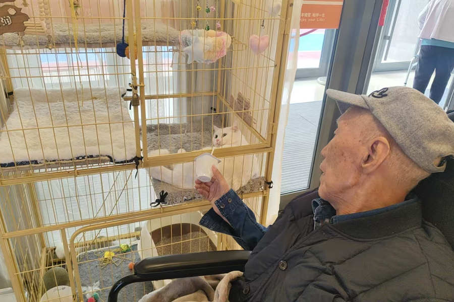 拿奖后，做了3年护理工作的她说真正的奖赏是爷爷奶奶们点的那个“赞”-养老院